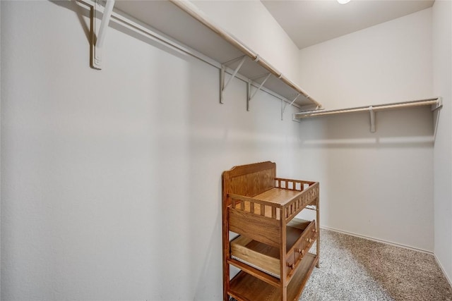 spacious closet with carpet