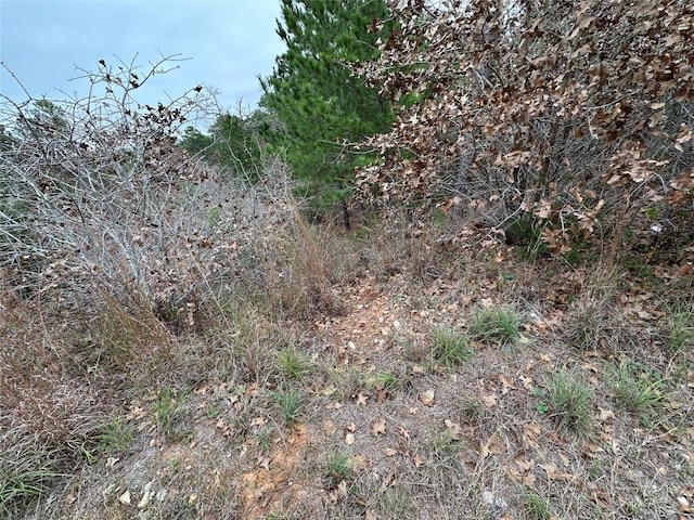 TBD N Pahihi Dr, Bastrop TX, 78602 land for sale