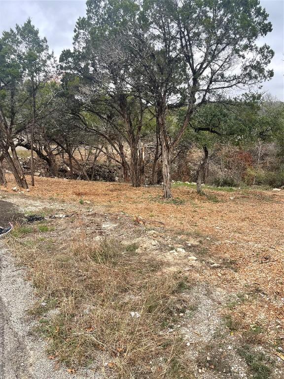 3705 High Line Dr, Lago Vista, TX 78645 - photo 2