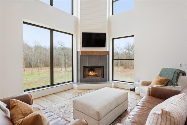 living room with a fireplace, a towering ceiling, and wood-type flooring