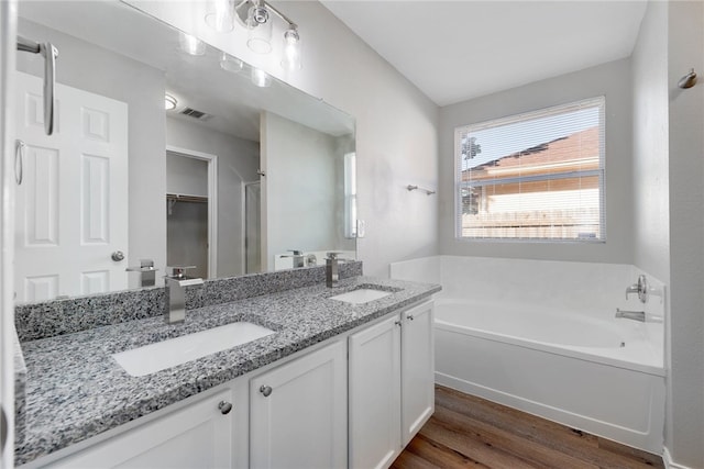 bathroom with vanity, wood-type flooring, and a washtub