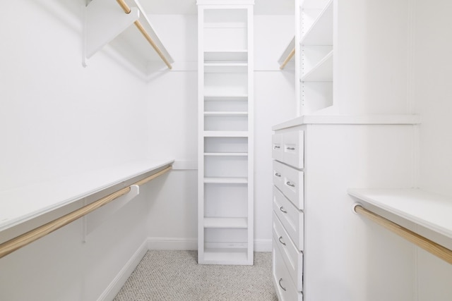 5801 Thunderbird St Unit A16, Lago Vista, TX 78645 - walk in closet with light colored carpet