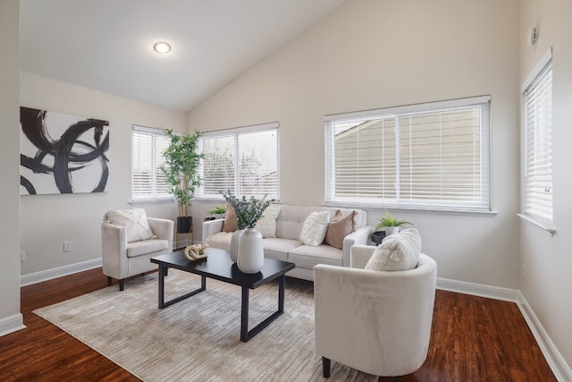 living room featuring plenty of natural light, high vaulted ceiling, and hardwood / wood-style flooring