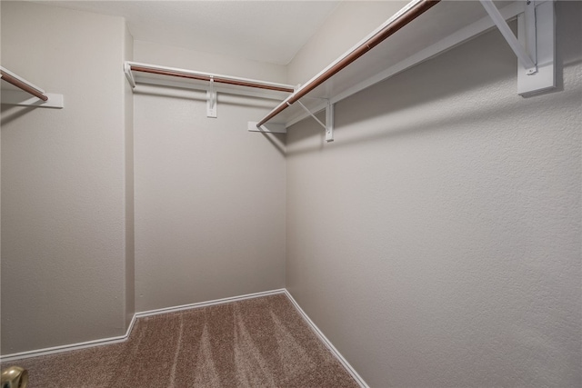 2306 W St, Taylor, TX 76574 - walk in closet featuring carpet flooring