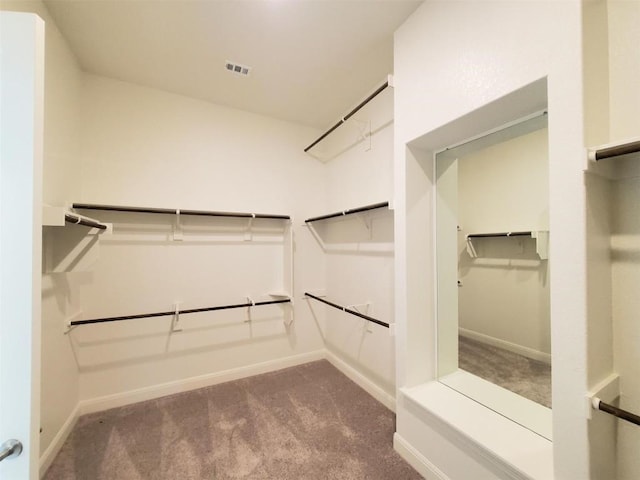 spacious closet featuring visible vents and carpet floors