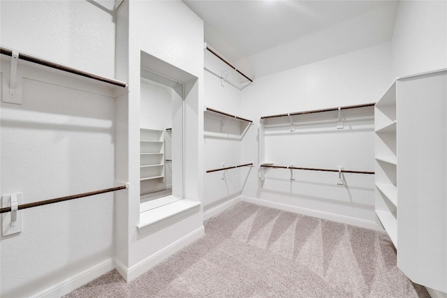 504 Frio Springs Trl, Georgetown, TX 78628 - spacious closet with carpet