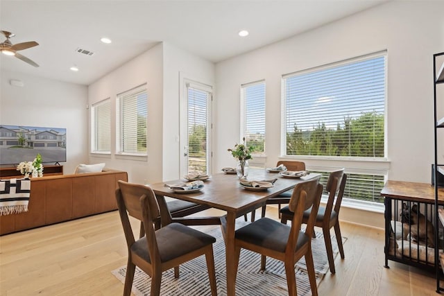 dining area with ceiling fan, a healthy amount of sunlight, and light hardwood / wood-style floors