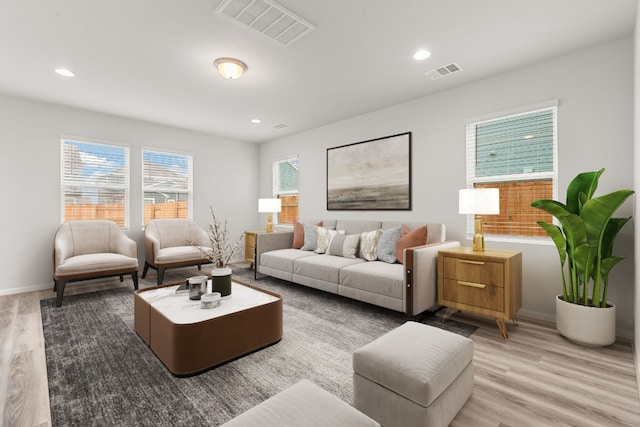 living room featuring wood-type flooring