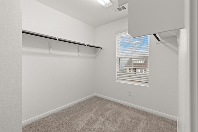 spacious closet featuring carpet flooring