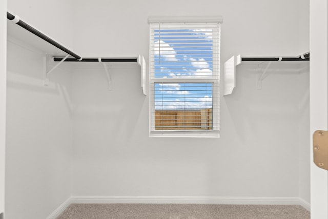 spacious closet with carpet