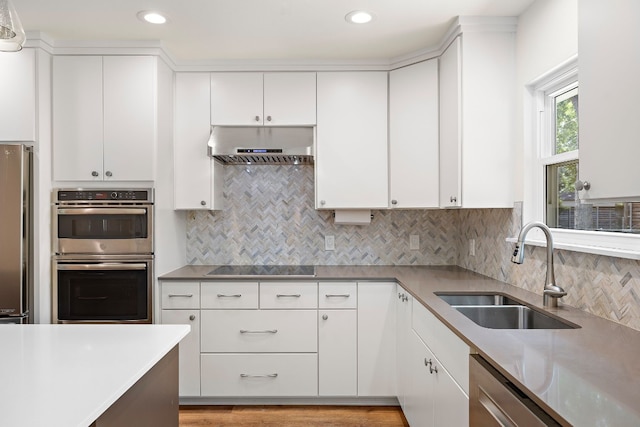 kitchen with white cabinetry, sink, stainless steel appliances, tasteful backsplash, and extractor fan