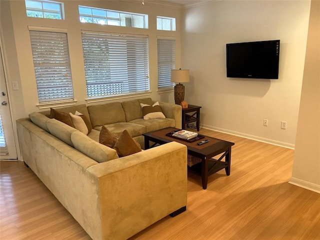 living room with light hardwood / wood-style flooring and ornamental molding