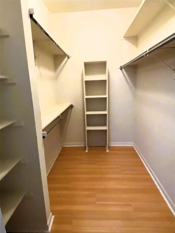 spacious closet featuring wood-type flooring