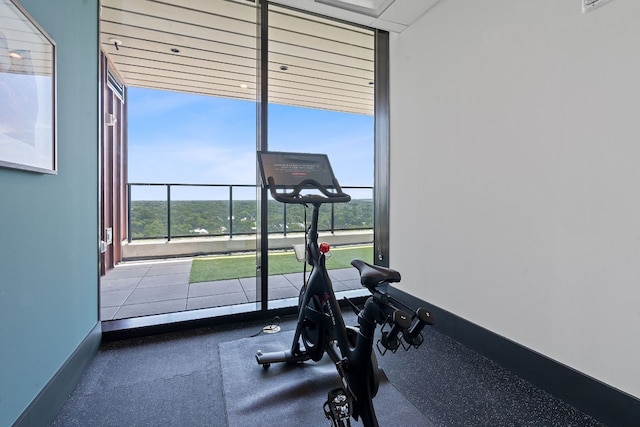 workout area with a wall of windows and a wealth of natural light