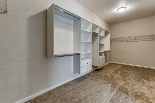 walk in closet featuring carpet flooring