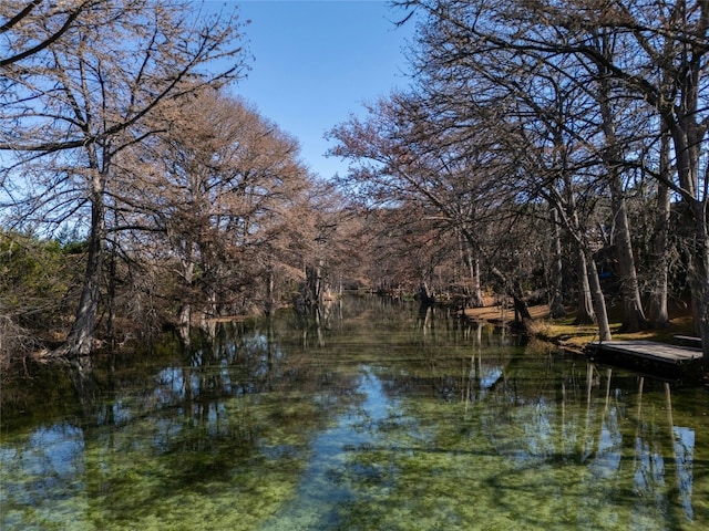 view of water feature