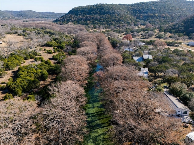 birds eye view of property with a mountain view