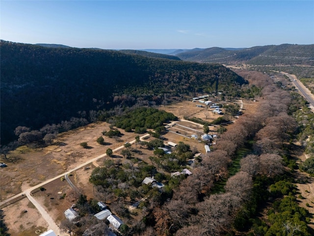 birds eye view of property featuring a mountain view