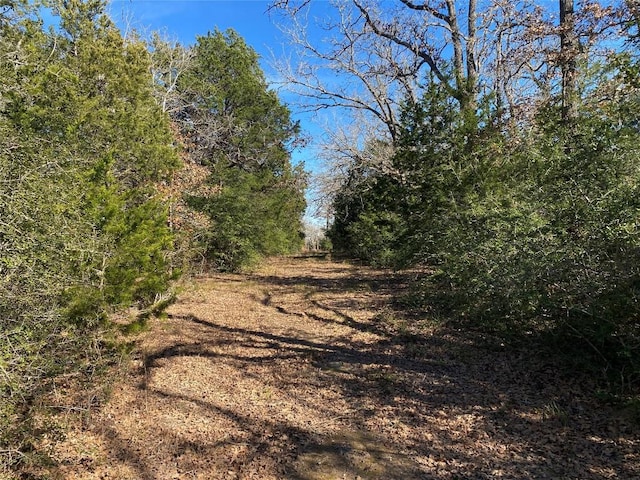 TBD Creekside Ln, Lexington, TX 78947