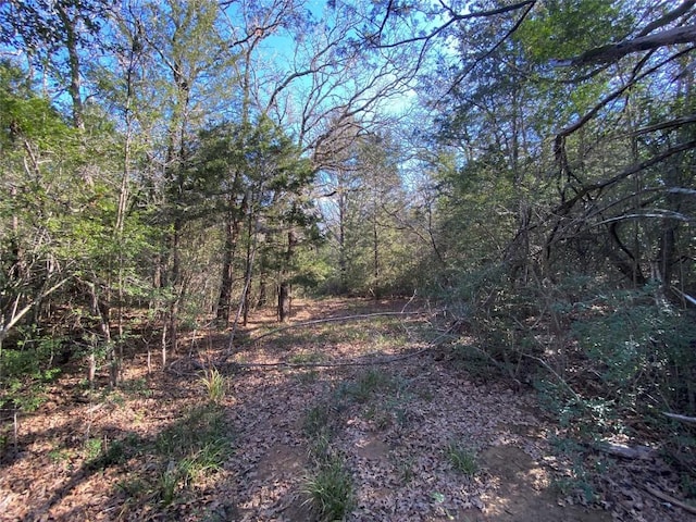 TBD Creekside Ln, Lexington, TX 78947