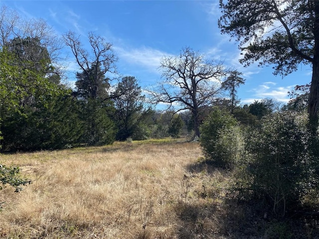 TBD Creekside Ln, Lexington, TX 78947