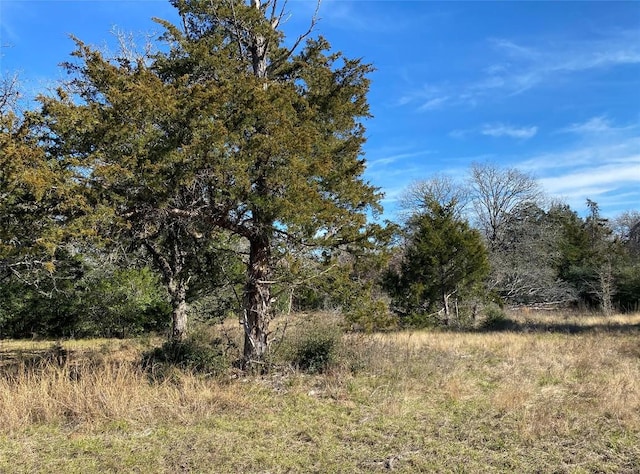 TBD Creekside Ln, Lexington, TX 78947