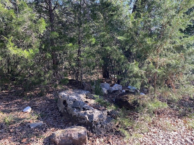 LOT68-TBD Creekside Ln, Lexington, TX 78947 - photo 6