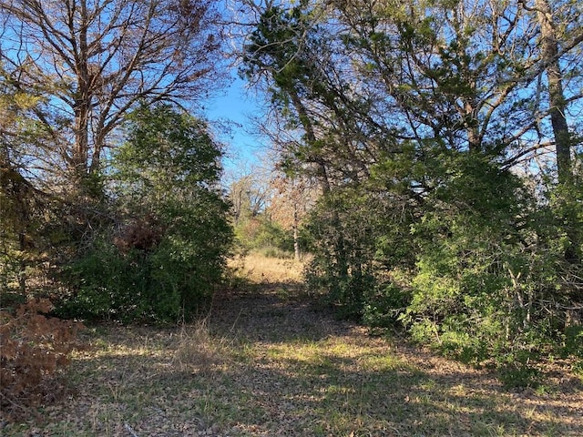 TBD Creekside Ln, Lexington, TX 78947