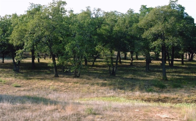 TBD Creekside Ln, Lexington, TX 78947