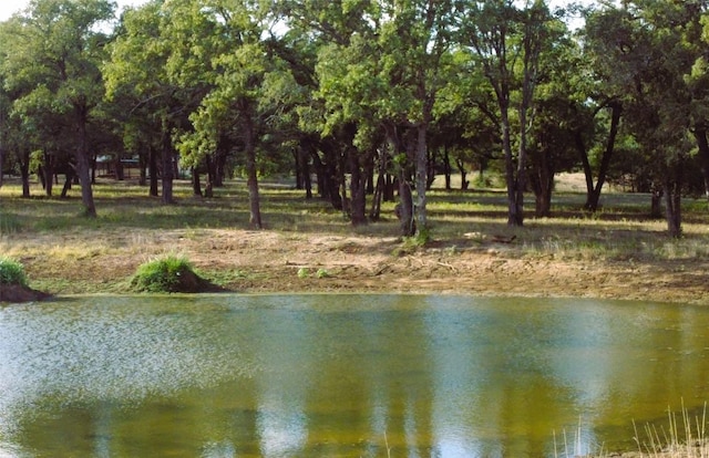 TBD Creekside Ln, Lexington, TX 78947