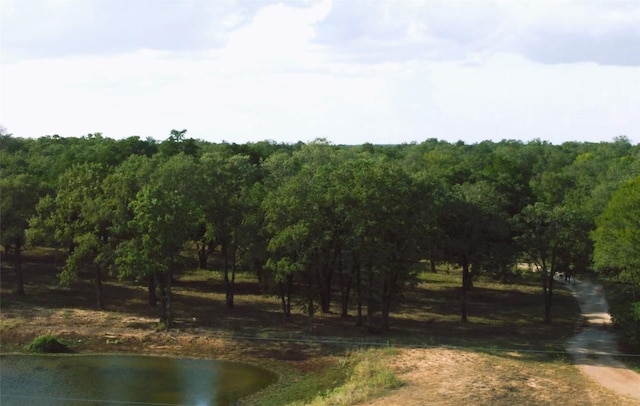 LOT68-TBD Creekside Ln, Lexington, TX 78947 - photo 10