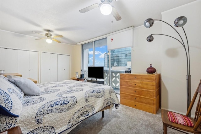 carpeted bedroom featuring ceiling fan, expansive windows, and multiple closets