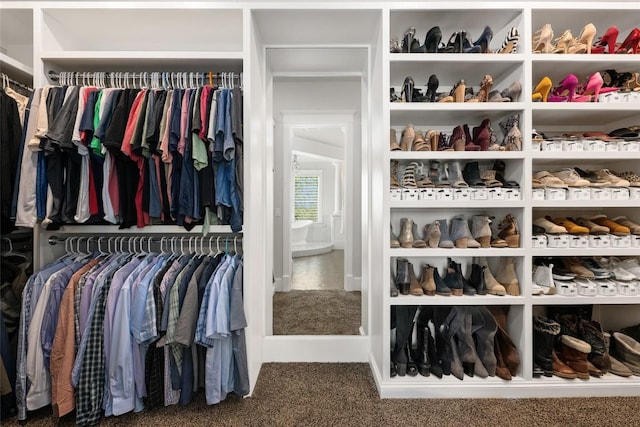 spacious closet with carpet floors