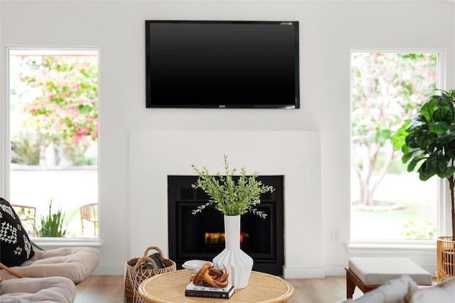 living room featuring hardwood / wood-style floors