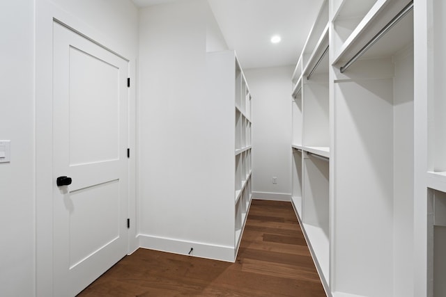 spacious closet with dark hardwood / wood-style flooring