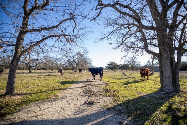 exterior space with a rural view