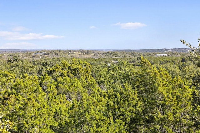 Listing photo 3 for 12803 Shoshoni Trl, Austin TX 78737