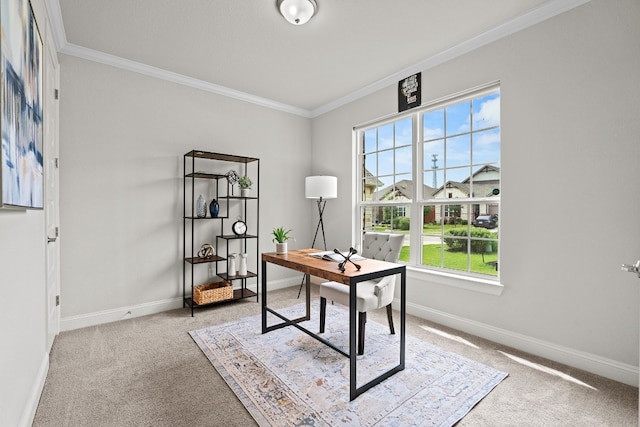 carpeted office with crown molding