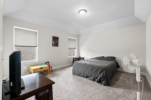 carpeted bedroom with a tray ceiling