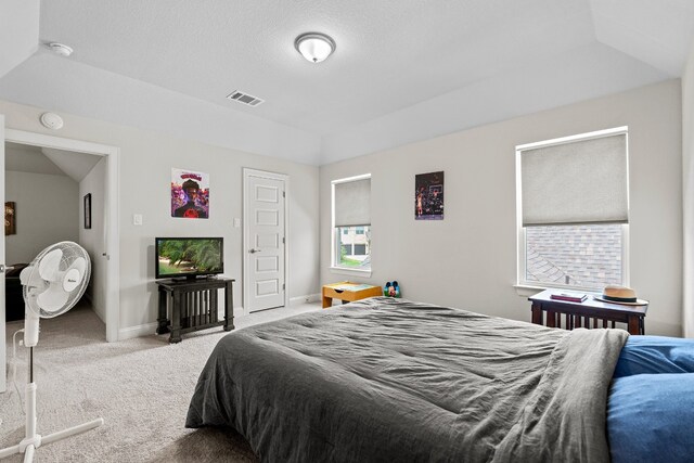 carpeted bedroom with a tray ceiling