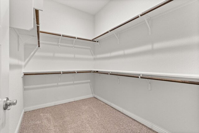 1813 Arapaho Mountain Pass, Leander, TX 78641 - walk in closet featuring light carpet