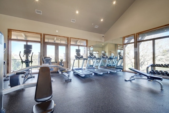 exercise room featuring high vaulted ceiling