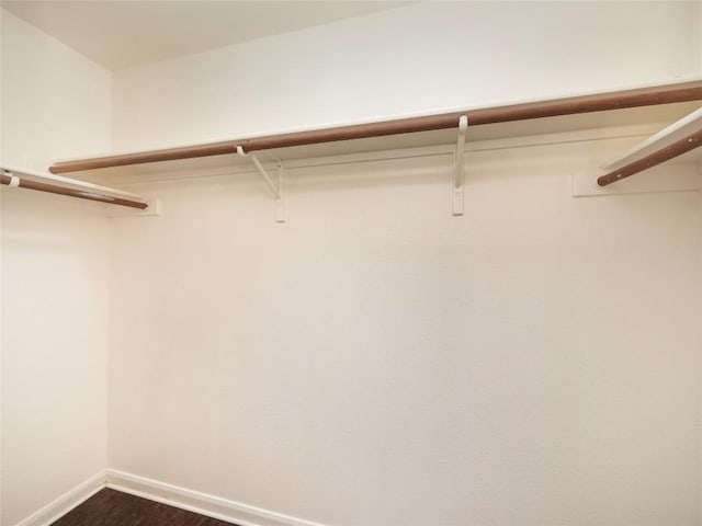 walk in closet with dark wood-type flooring