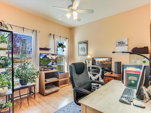 office area with light hardwood / wood-style floors and ceiling fan