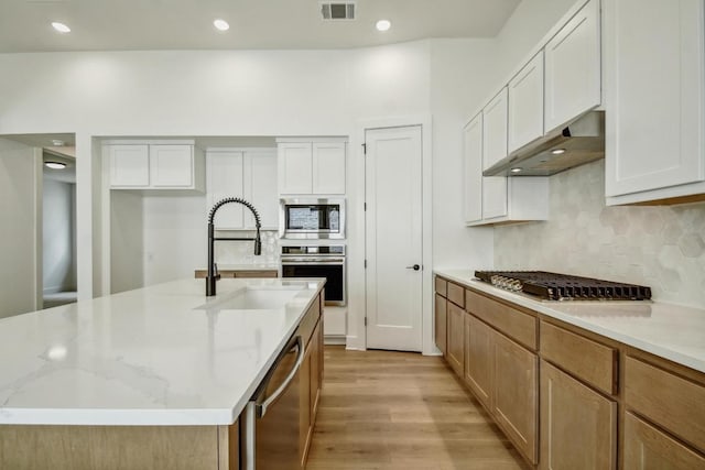 192 Bay Breeze Dr, Kyle, TX 78640 - kitchen featuring stainless steel appliances, under cabinet range hood, a sink, light wood finished floors, and backsplash