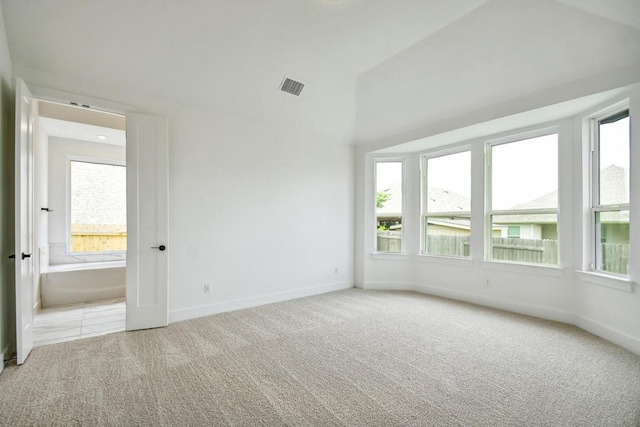 192 Bay Breeze Dr, Kyle, TX 78640 - spare room with carpet, baseboards, and lofted ceiling