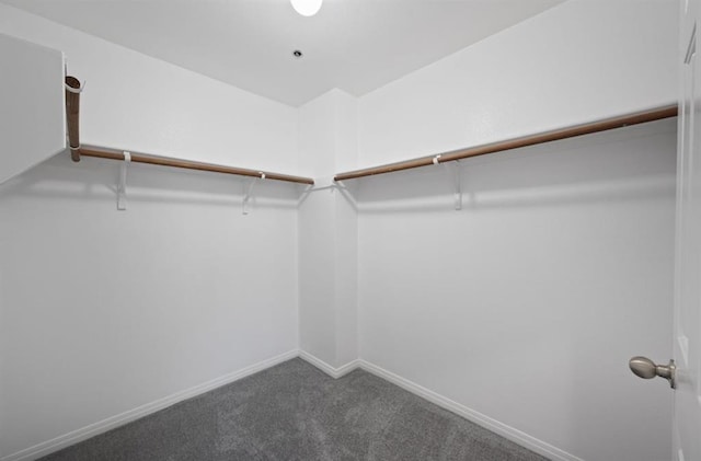 spacious closet with carpet floors