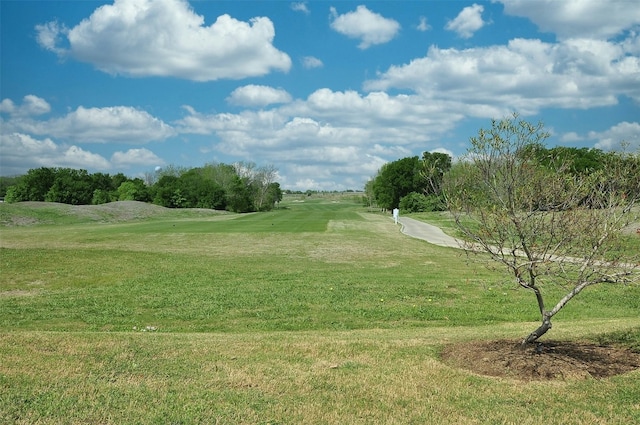 14121 Fallsprings Way, Manor, TX 78653 - view of property's community featuring golf course view and a yard