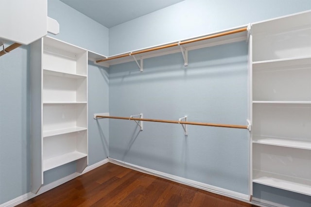 walk in closet featuring dark hardwood / wood-style floors