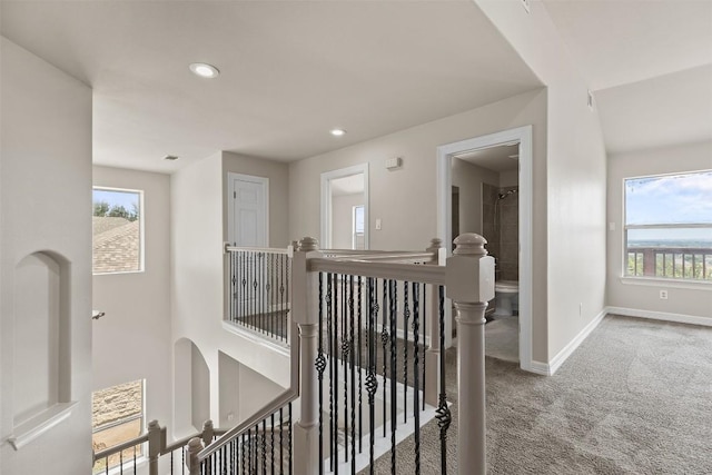 hall featuring a wealth of natural light and carpet